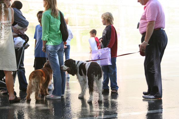 photo de Reportage � Paris-Plage, �t� 2005