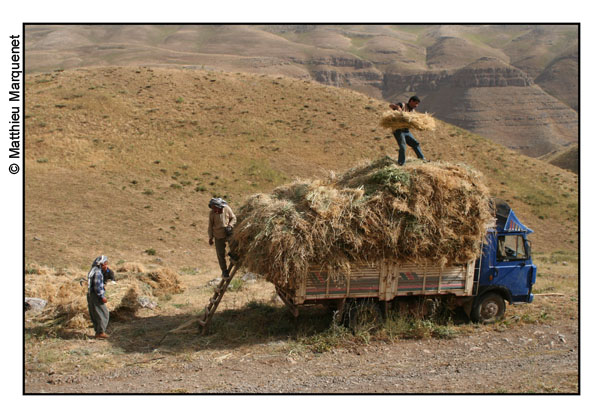 photo de Turquie, rflexions sur le monde et anecdotes de voyage - aot 2006