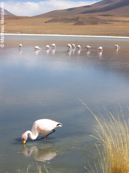 photo de Paysages, photos prises lors de mon tour du monde  vlo en 2004