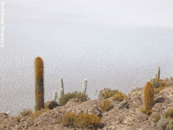 photo de Paysages, photos prises lors de mon tour du monde  vlo en 2004