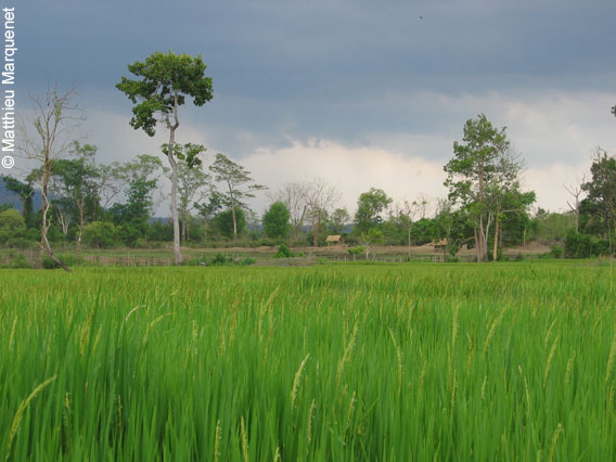 photo de Paysages, photos prises lors de mon tour du monde  vlo en 2004