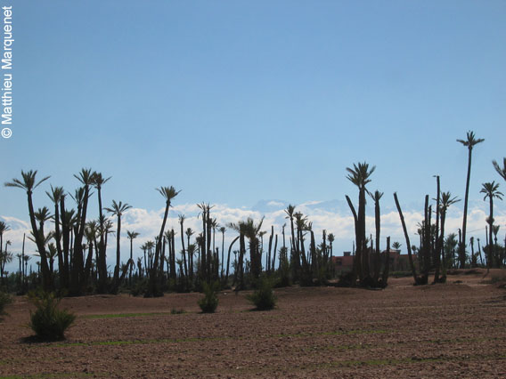 photo de Paysages, photos prises lors de mon tour du monde  vlo en 2004