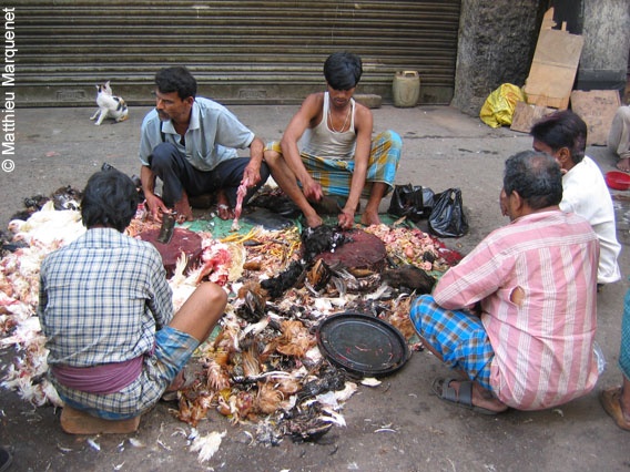 photo de Vie quotidienne, photos prises lors de mon tour du monde  vlo en 2004